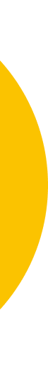 Yellow-circle-homepage